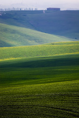 green summer landscape in tuscany, Italy