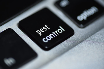 Searching for Pest control services online