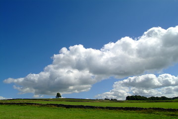 Obraz premium Along The Skyline