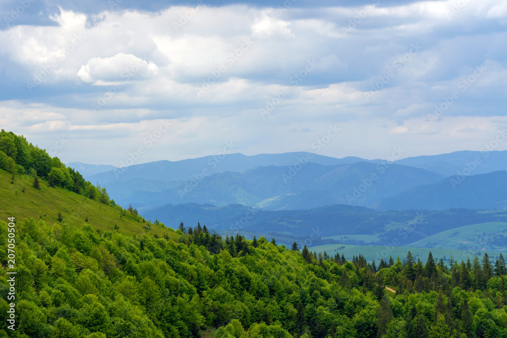 Canvas Prints Magnificent landscape with blue mountains