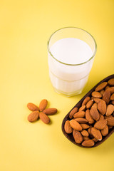 Glass of almond milk with almonds in wooden bowl on yellow tropic summer background with green palm tree leaf, day time summer concept, organic vegetarian homemade healthy drink breakfast 