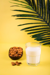 Glass of almond milk with almonds in wooden bowl on yellow tropic summer background with green palm tree leaf, day time summer concept, organic vegetarian homemade healthy drink breakfast 
