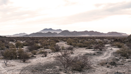 Beautiful panoramic desert setting in Baja, Mexico.