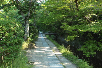 京都　哲学の道
