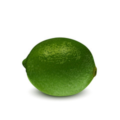 Realistic green lime, lemon. 3d Vector illustration