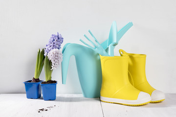 the Yellow rubber boots and blue watering can with a bouquet of flowers of white and pink tulips on the white background. Garden accessories.