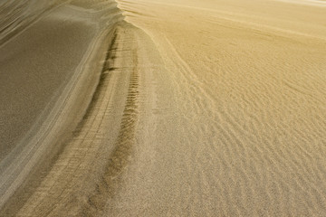 Sand dunes in the desert
