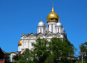 Cathedral in Moscow Kremlin behind  trees
