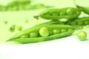Green peas or peas (Latin Písum) cerebral. Ingredient for cooking, raw food and feed. Close-up.