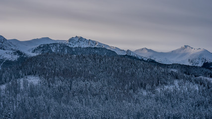 pierwszy śnieg tatry © BlackMediaHouse