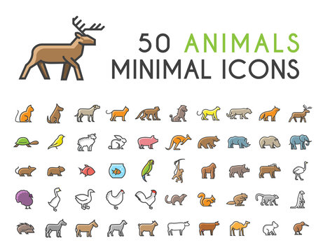 Set of 50 Minimalistic Solid Line Coloured Animal Icons . Isolated Vector Elements