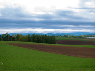 Fototapeta premium 北海道の風景