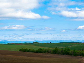 北海道の風景