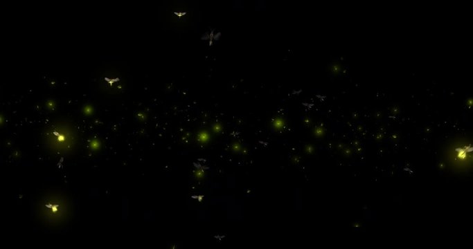 Fireflies on Black