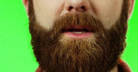 Close up of the Caucasian male mouth with a big red beard talking and spelling words on the green screen background. Chroma key.
