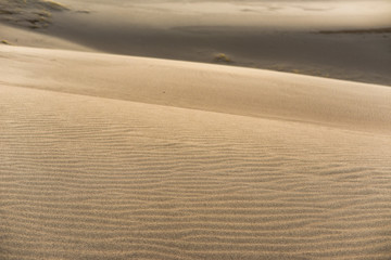 Fototapeta na wymiar Shadown in the sand