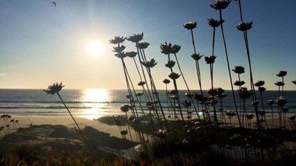 Landscape of Porto Covo beach, Portugal at sunset.