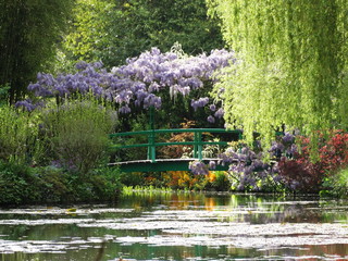 Monet gardens