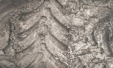 Imprint of the tractor wheel on the ground. Tire protector close up. Gray background.