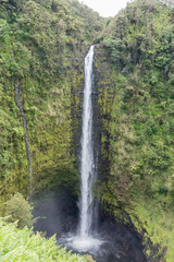 Spectacular Akaka Falls on the Big Island of Hawaii