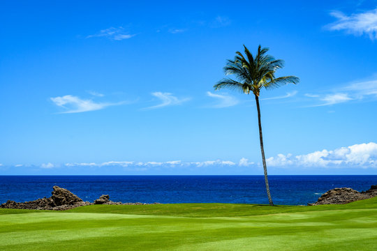 Sunny day on a tropical golf course fairway with the putting green in the distance surrounded by palm trees and sand traps, lava rock, blue pacific ocean, and blue sky and white clouds in background