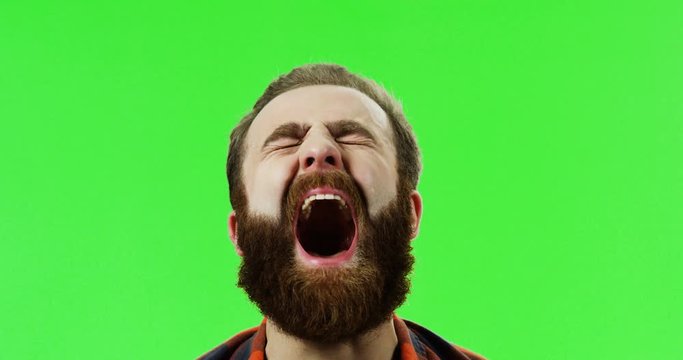 Close up of the emotional man with a beard screaming and making a wry face on the green screen background. Chroma key.