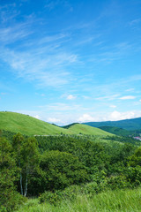 Fototapeta premium 霧ヶ峰