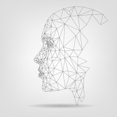 Human face, polygonal mesh, technology