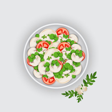 Bowl of a Salad on white background. Vegan Food.