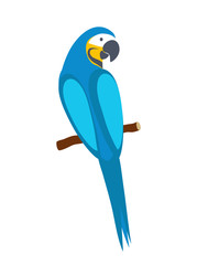 Blue macaw parrot. Isolated on white background. Vector illustration.