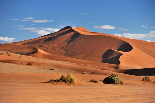 Namibia. Red dunes early in the morning
