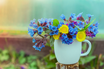 Bouquet of primroses blue lungwort in white enameled metal mug on grass and flowers background with...