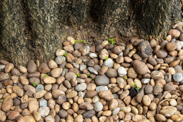 Pebbles of use as a background.