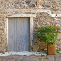 Fototapeta na wymiar vintage door on stone wall and a flower pot