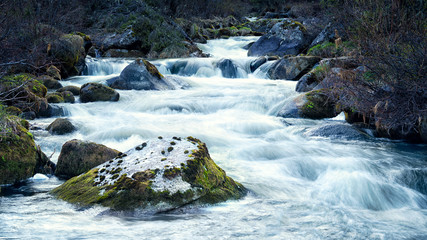 Mountain stream with moss-covered rocks