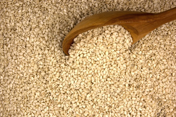 White sesame in wooden spoon