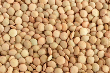 Lentils brown close-up.