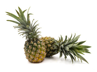 Pineapple fruit on a white background