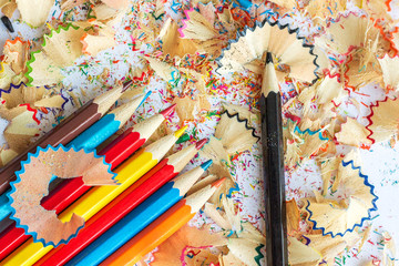 colored pencils and shavings from pencils