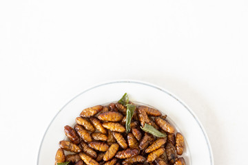 Top view of Fried insects in dish on white background. copy space