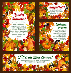 Autumn acorn leaf, pumpkin vector greeting posters