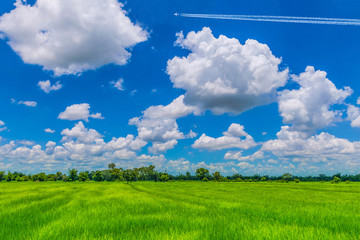 The soft focus of green paddy rice field, the wonderful beautiful sky, and cloud.The country lifestyle in Thailand.