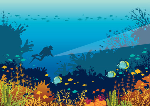 Underwater ccoral reef, fishes and scuba diver.