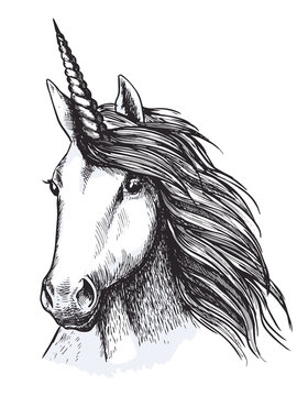 Unicorn horse head sketch for tattoo design
