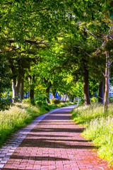 自然公園 © TokitaNatuki