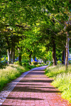 自然公園