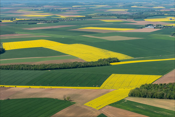 photo aérienne de champs de colza à Mesnil-sous-Vienne dans l'Eure en France