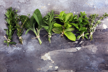 bunch of garden fresh herbs on grey board.