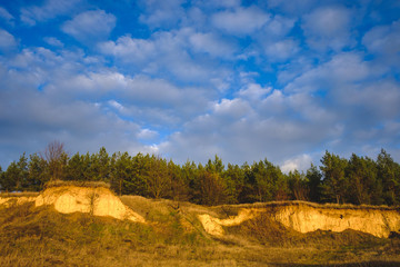 Pine forest on a precipice of sand against a blue sky with clouds