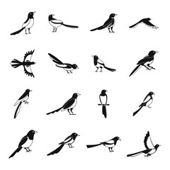 Magpie crow bird icons set. Simple illustration of 16 magpie crow bird vector icons for web